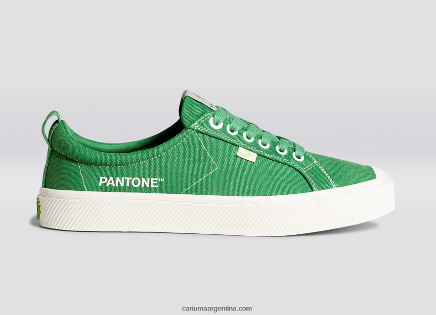 Cariuma D6DR8X20hombres lienzo pantone greenbriar