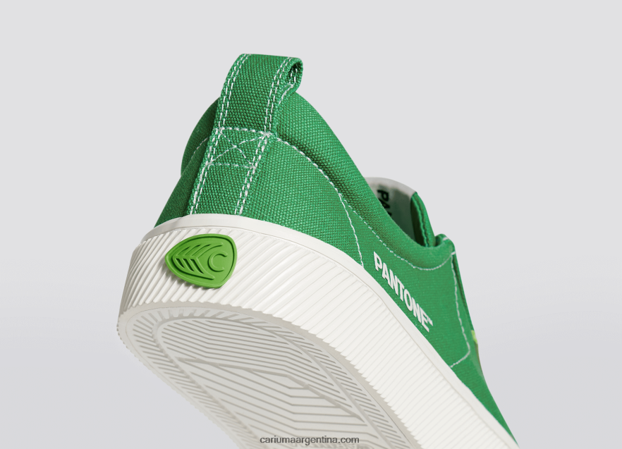 Cariuma D6DR8X20hombres lienzo pantone greenbriar