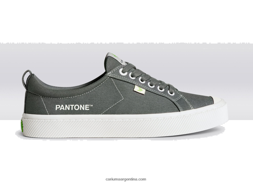 Cariuma D6DR8X40hombres lienzo pantone gárgola gris
